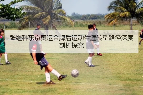 张继科东京奥运金牌后运动生涯转型路径深度剖析探究
